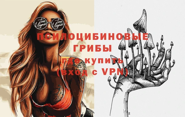 амф Алексин