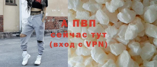 амф Алексин